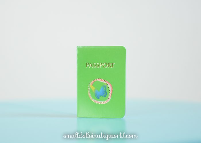 LeaAccessoriesReview-17