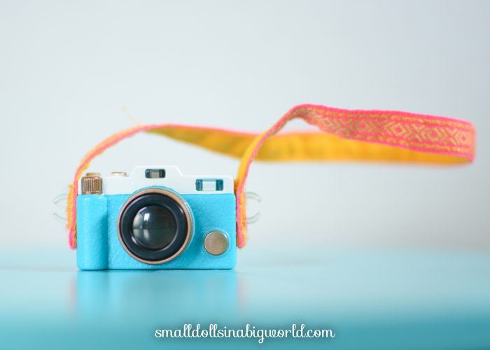 LeaAccessoriesReview-2