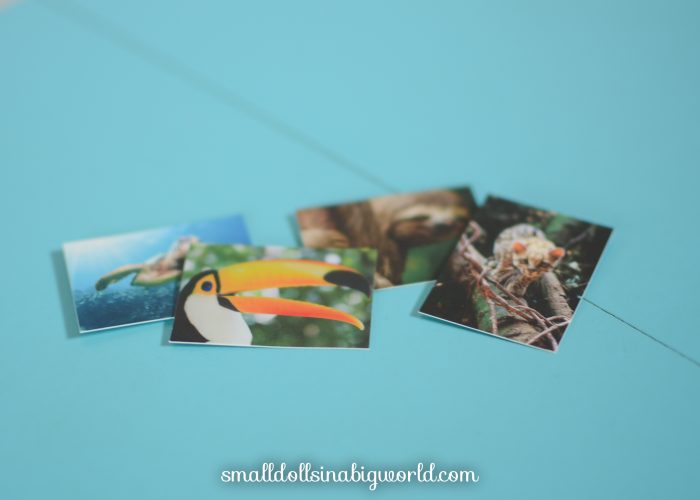 LeaAccessoriesReview-20
