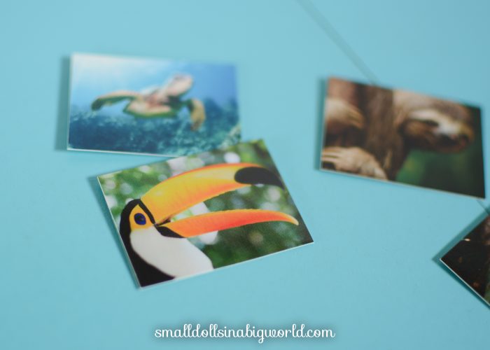 LeaAccessoriesReview-24