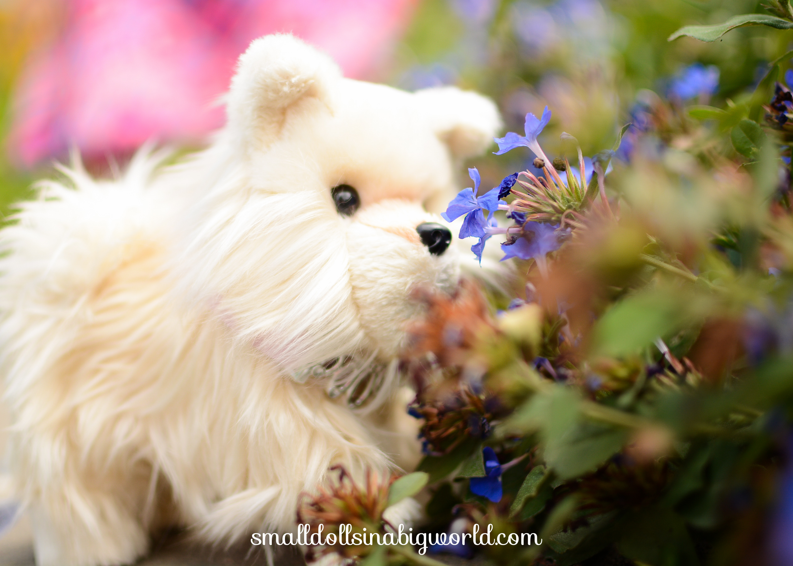IsabelleFlowerGarden-4