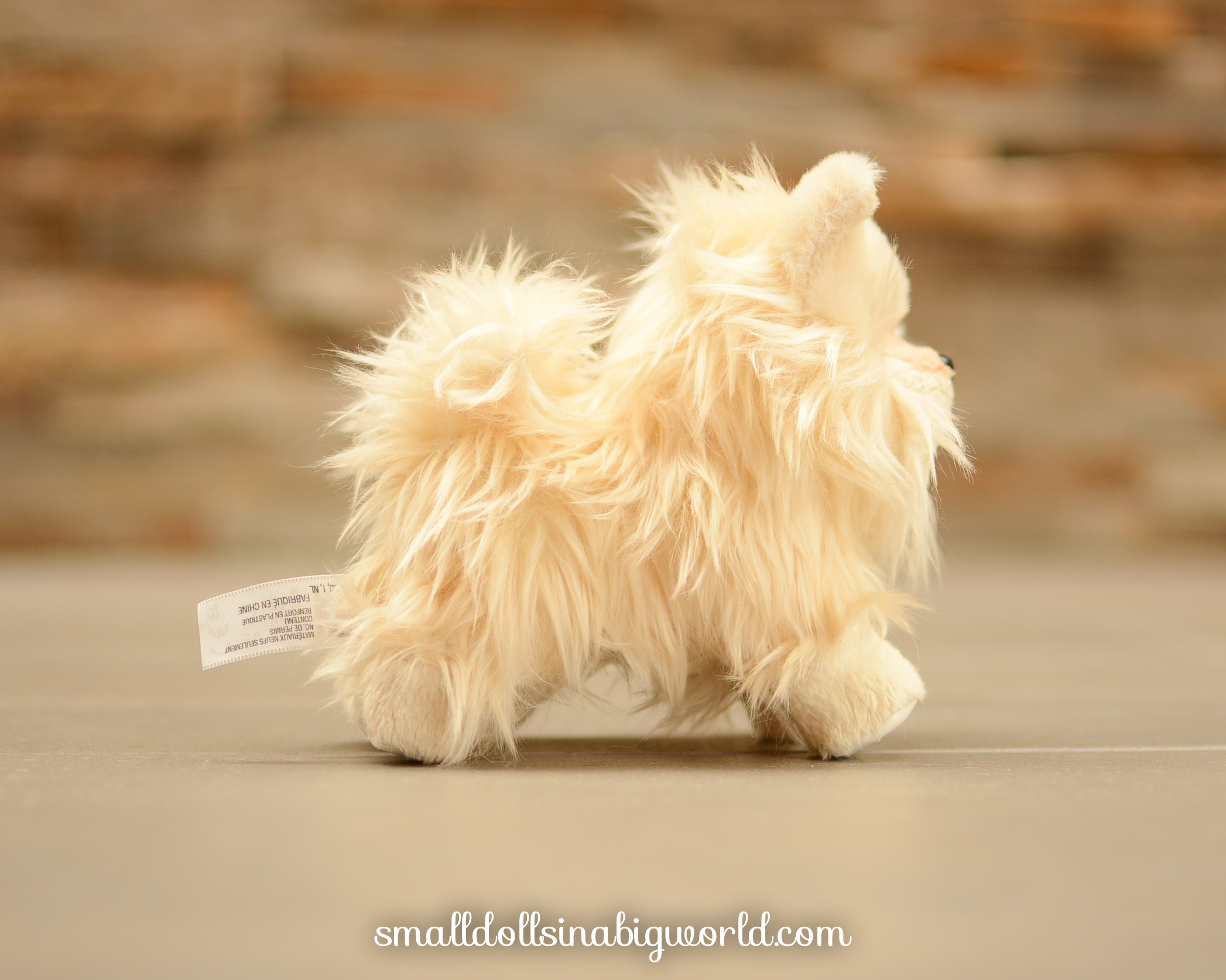 Pomeranianpuppyreview-2