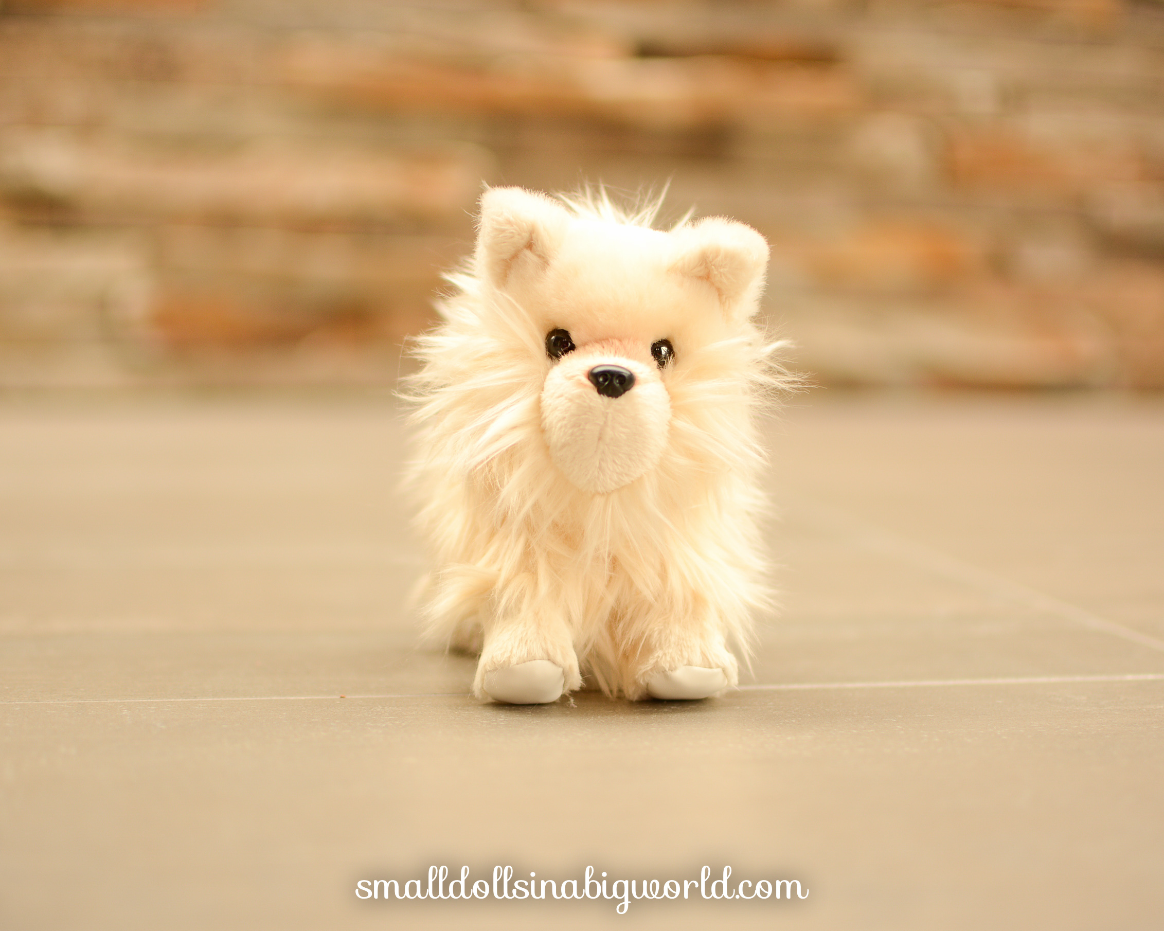 Pomeranianpuppyreview